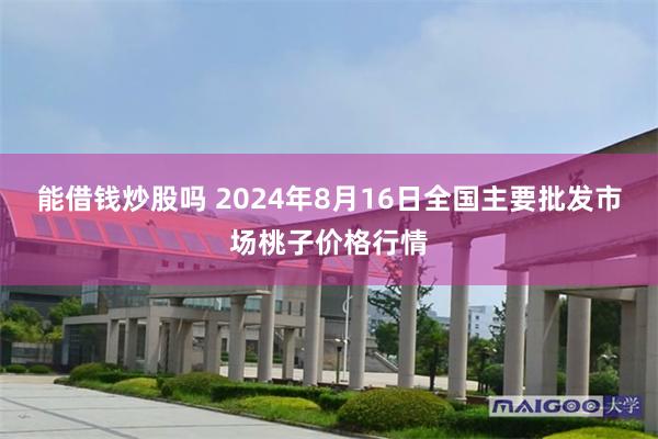 能借钱炒股吗 2024年8月16日全国主要批发市场桃子价格行情