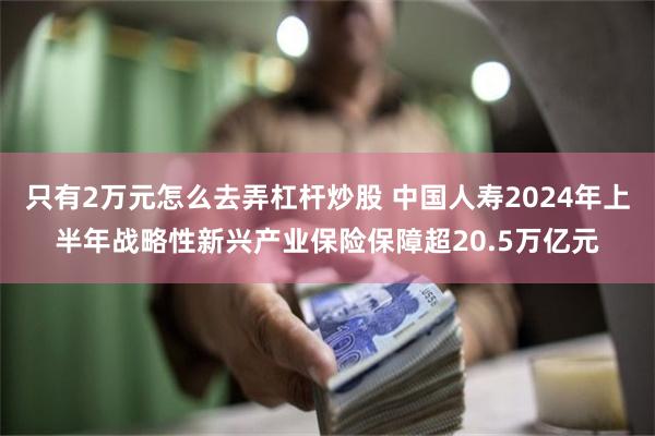 只有2万元怎么去弄杠杆炒股 中国人寿2024年上半年战略性新