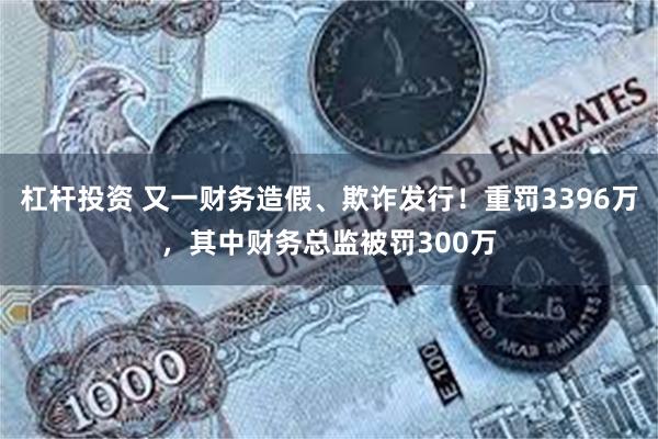 杠杆投资 又一财务造假、欺诈发行！重罚3396万，其中财务总