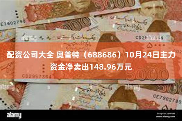 配资公司大全 奥普特（688686）10月24日主力资金净卖