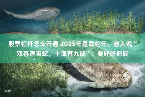 股票杠杆怎么开通 2025年是青蛇年，老人说“双春逢青蛇，十