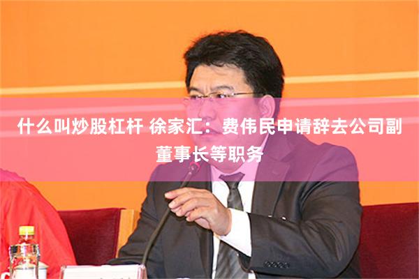 什么叫炒股杠杆 徐家汇：费伟民申请辞去公司副董事长等职务