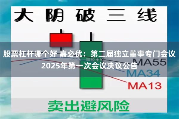 股票杠杆哪个好 嘉必优：第二届独立董事专门会议2025年第一