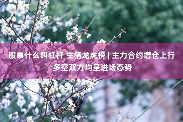 股票什么叫杠杆 生猪龙虎榜 | 主力合约增仓上行 多空双方均