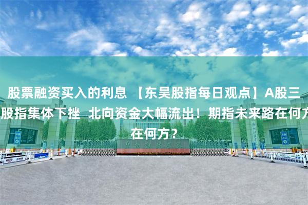 股票融资买入的利息 【东吴股指每日观点】A股三大股指集体下挫