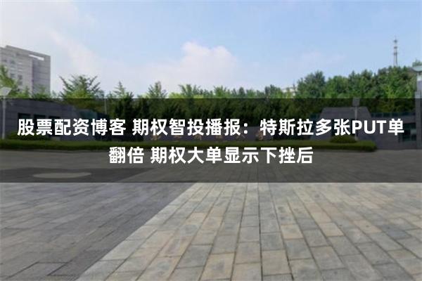 股票配资博客 期权智投播报：特斯拉多张PUT单翻倍 期权大单